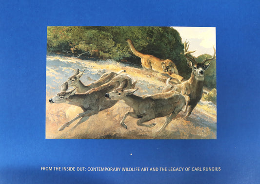 Carl Rungius Inside Out Contemporary Wildlife Artist Art Used Book