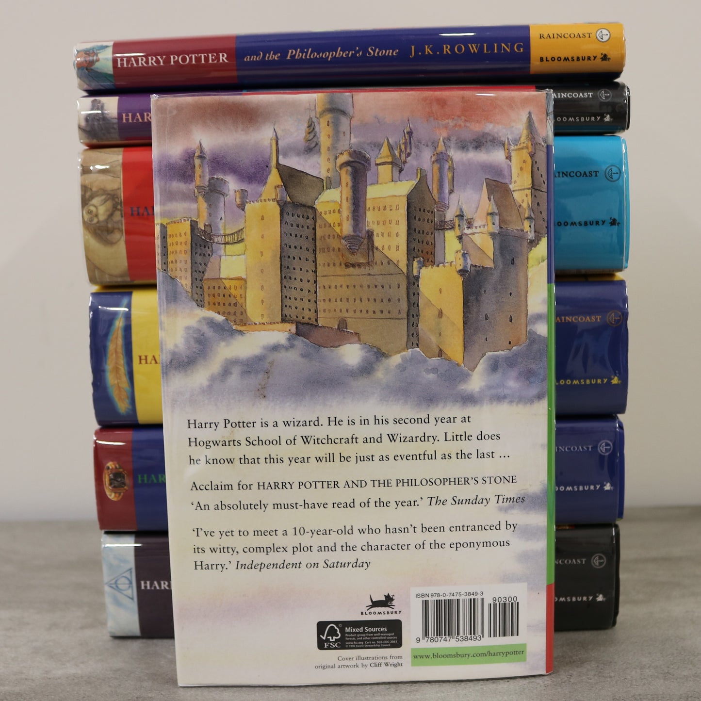 Harry Potter Complete Raincoast Bloomsbury Hardcover Set J.K. Rowling Fiction Books