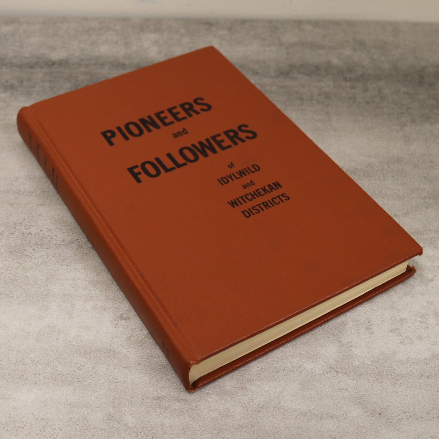 Pioneers Followers Idylwild Witchekan Local History Saskatchewan Canada Book