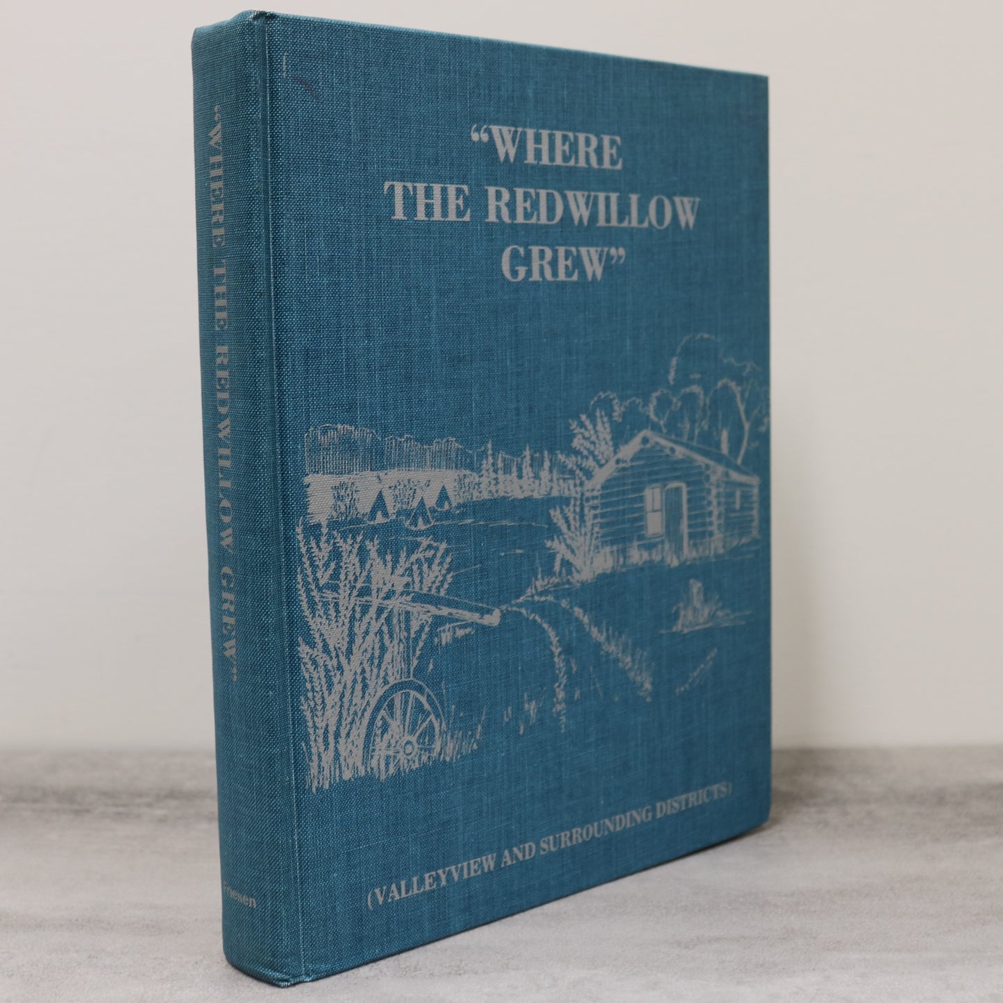 Where Redwillow Grew Valleyview Alberta Canada Canadian Local History Book