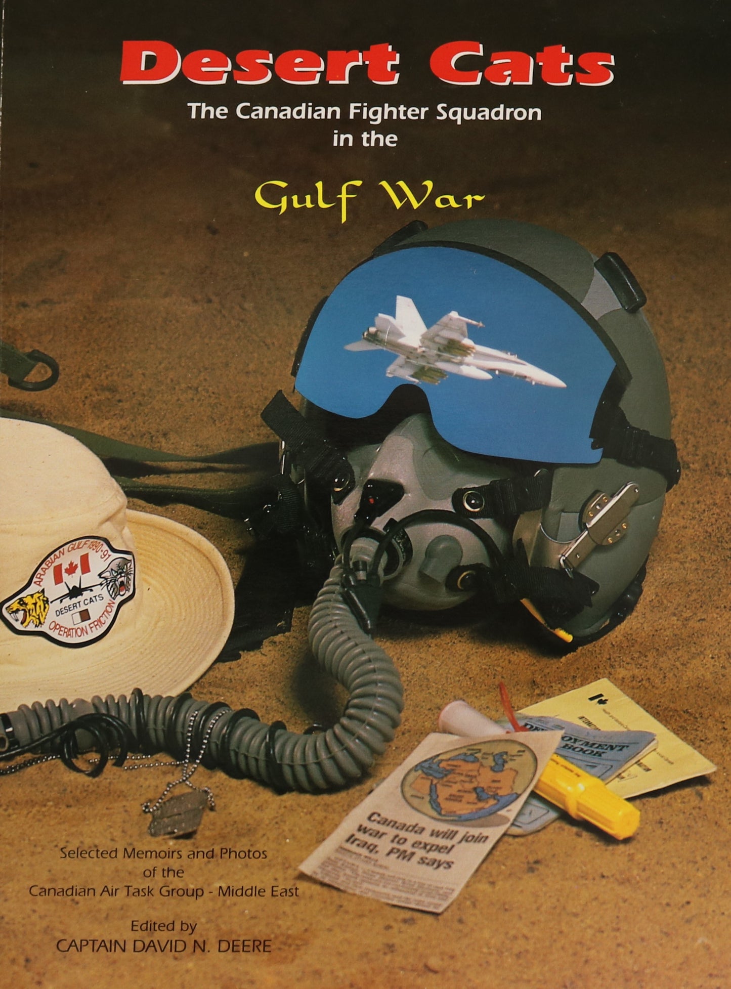 Desert Cats Canada Canadian Fighter RCAF Gulf War Air Force Aviation Military Book