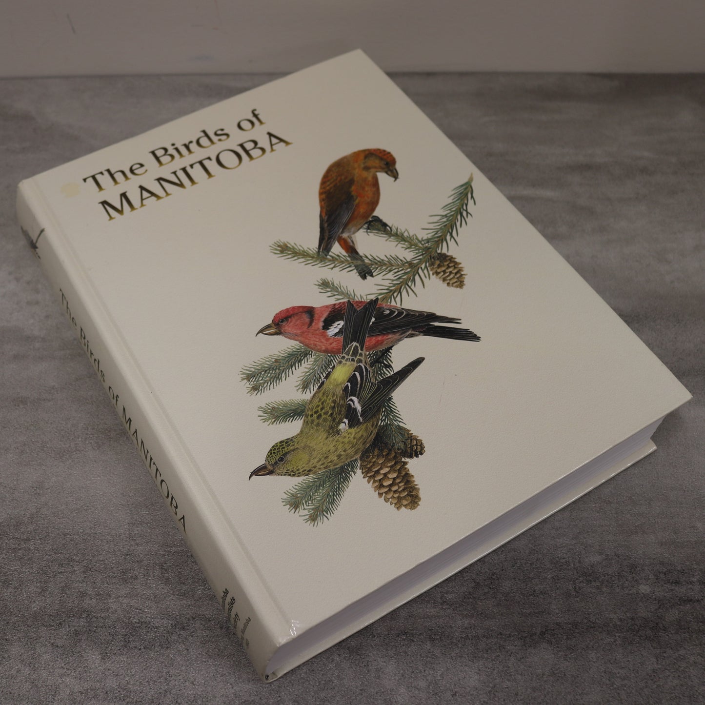 Birds of Manitoba Canada Canadian Bird Watching Encyclopedia Guide Used Book