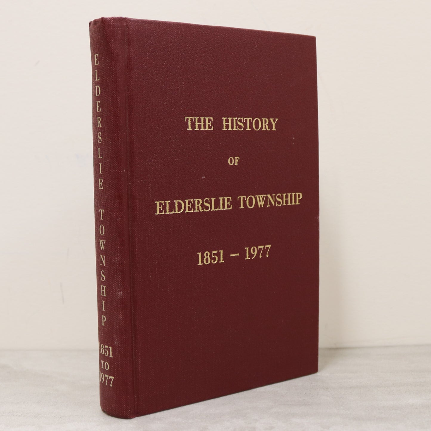 Elderslie Township Chesley Allenford Ontario Canada Canadian Local History Book