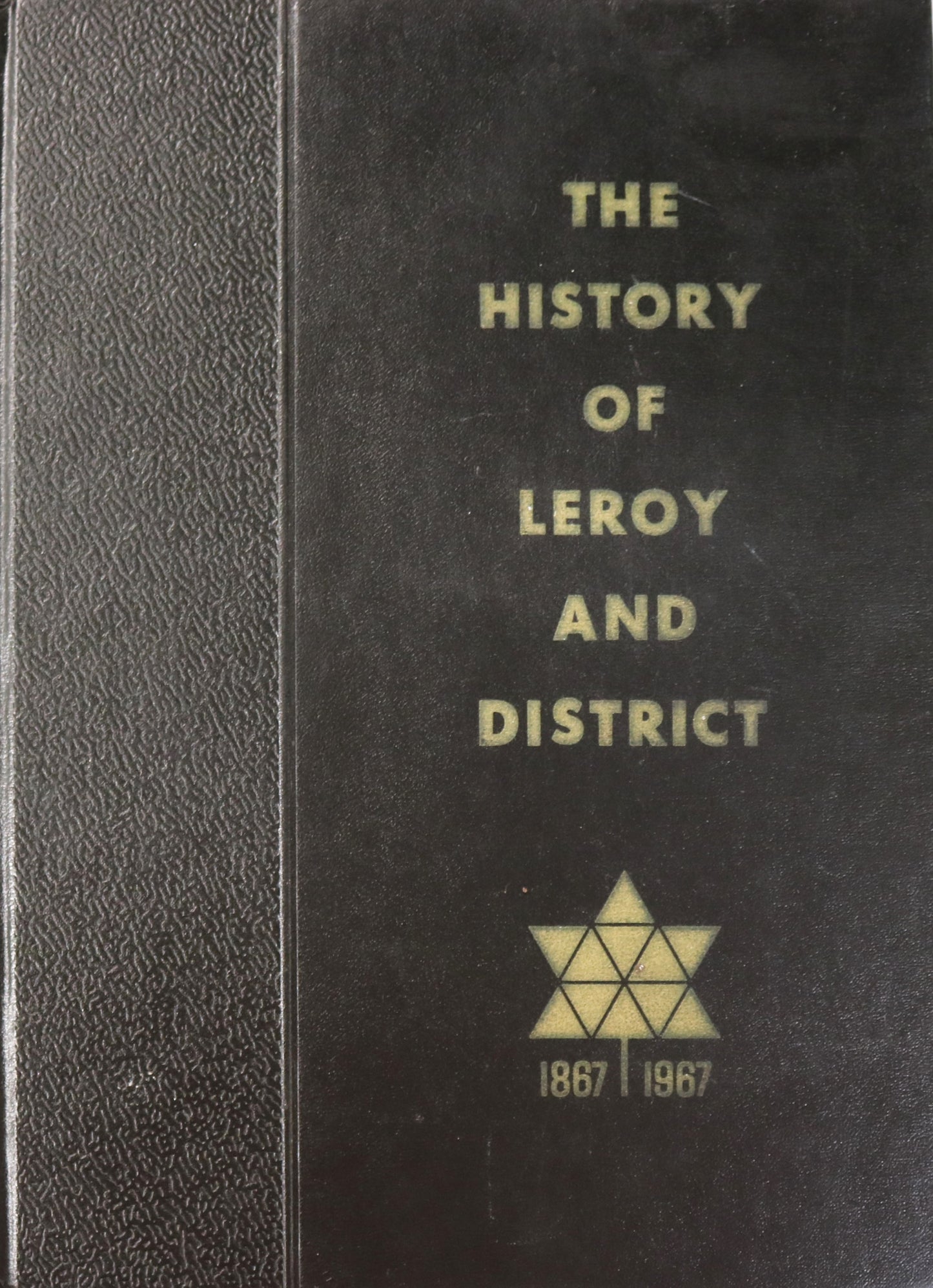 History of LeRoy and District Saskatchewan Canada Canadian Local History Book