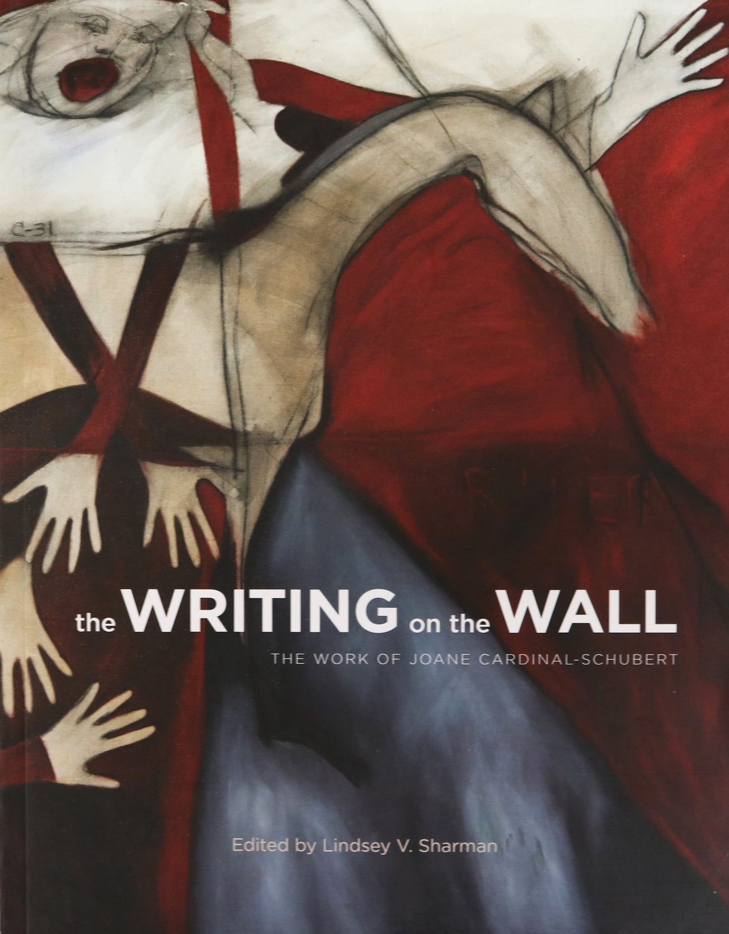 Writing on the Wall Joane Cardinal-Schubert Canadian Indigenous Artist Art Used Book