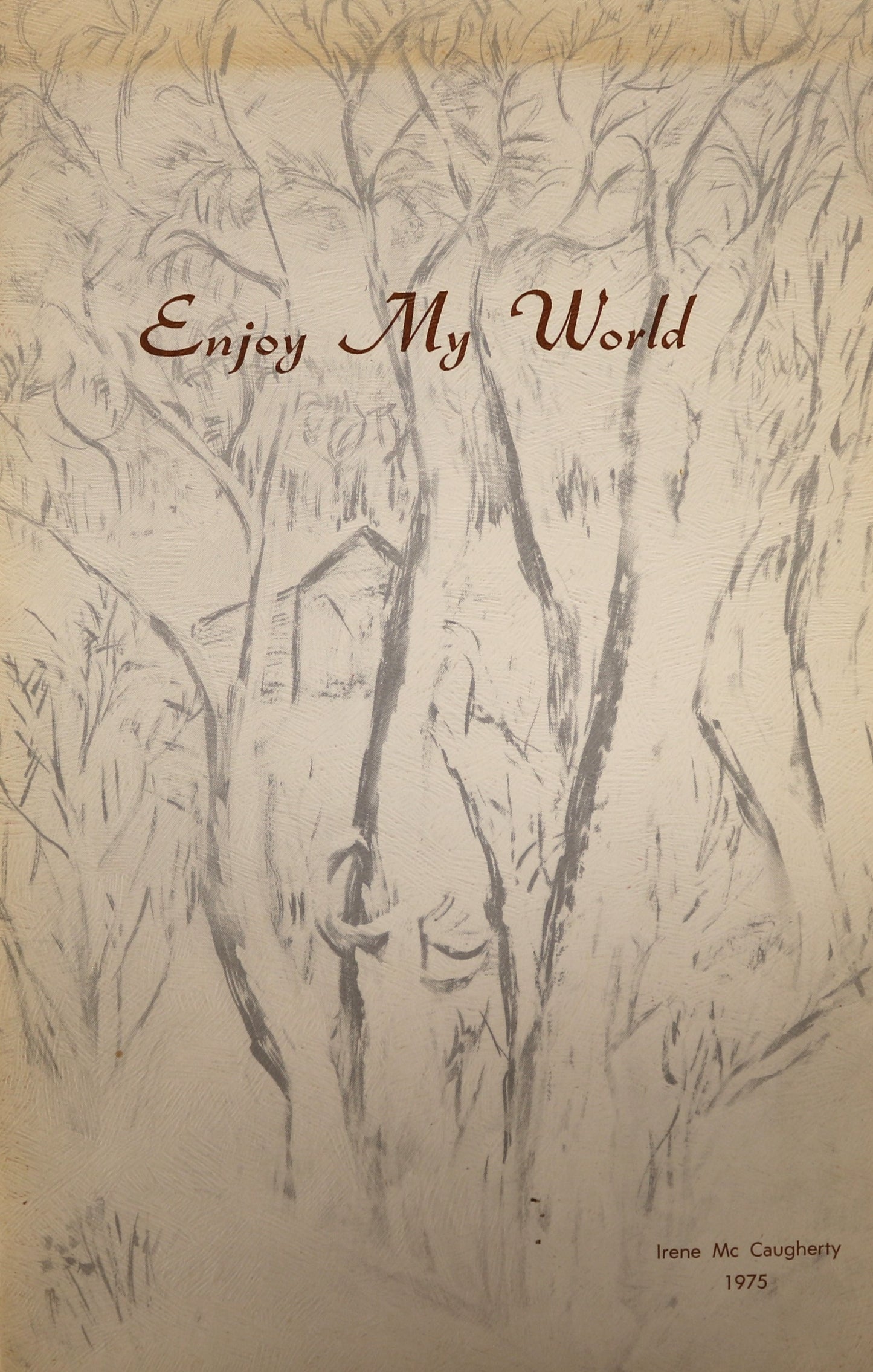 Enjoy My World Irene McCaugherty Canada Canadian Poems Poetry Used Book