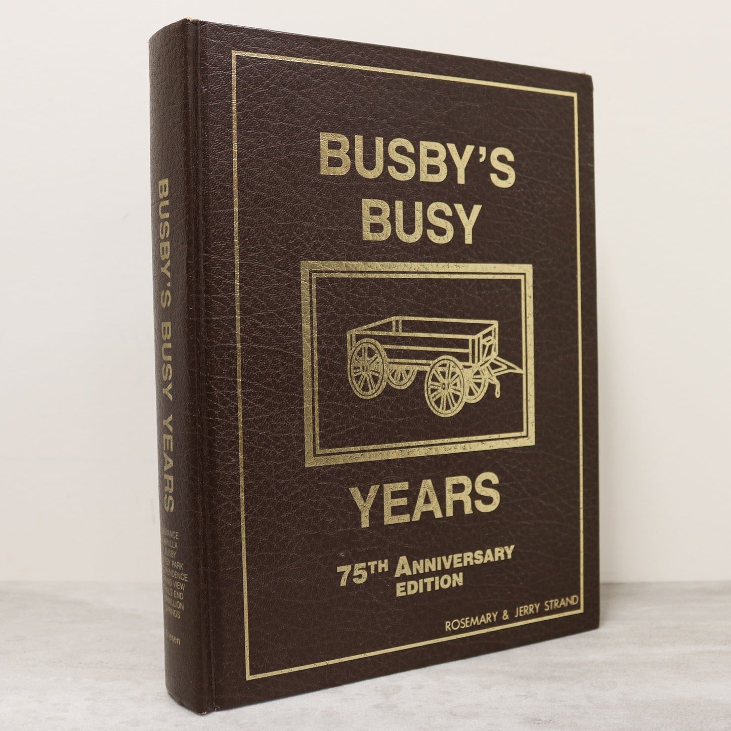 Busbys Busy Years Busby Alberta Canada Canadian Local History Used Book