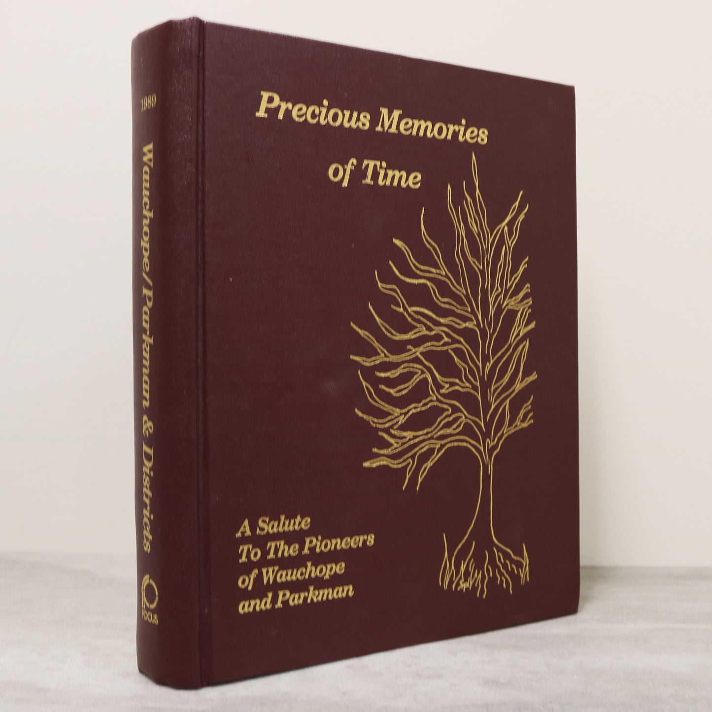 Precious Memories Time Wauchope Parkman Saskatchewan Canada Local History Book