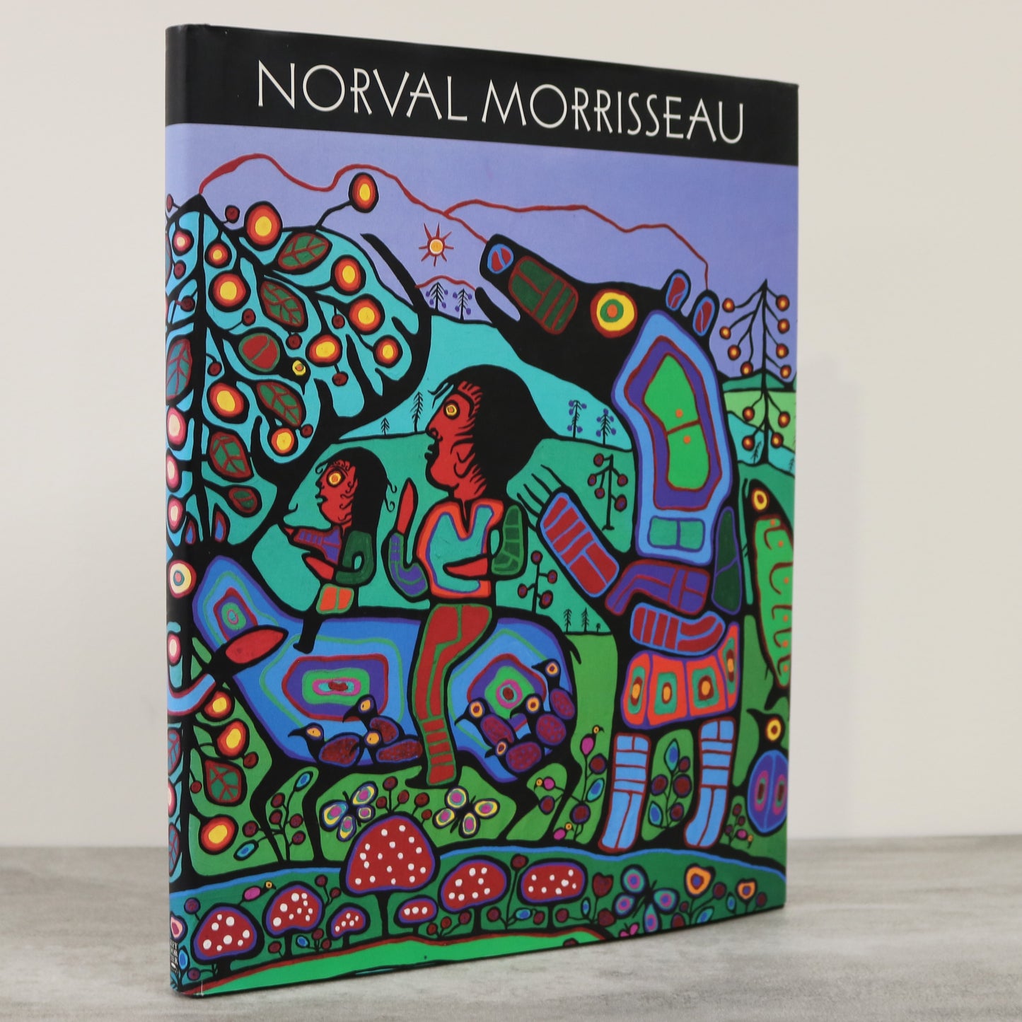 Norval Morrisseau Travels House Invention Ojibwa First Nations Artist Painter Art Book