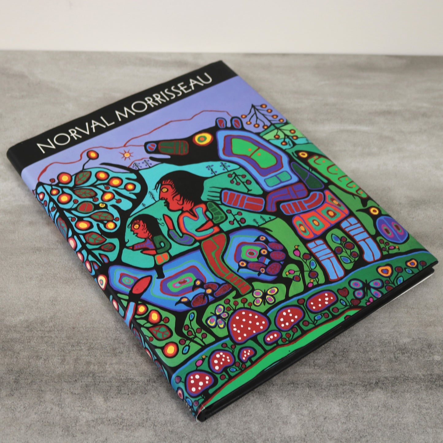 Norval Morrisseau Travels House Invention Ojibwa First Nations Artist Painter Art Book