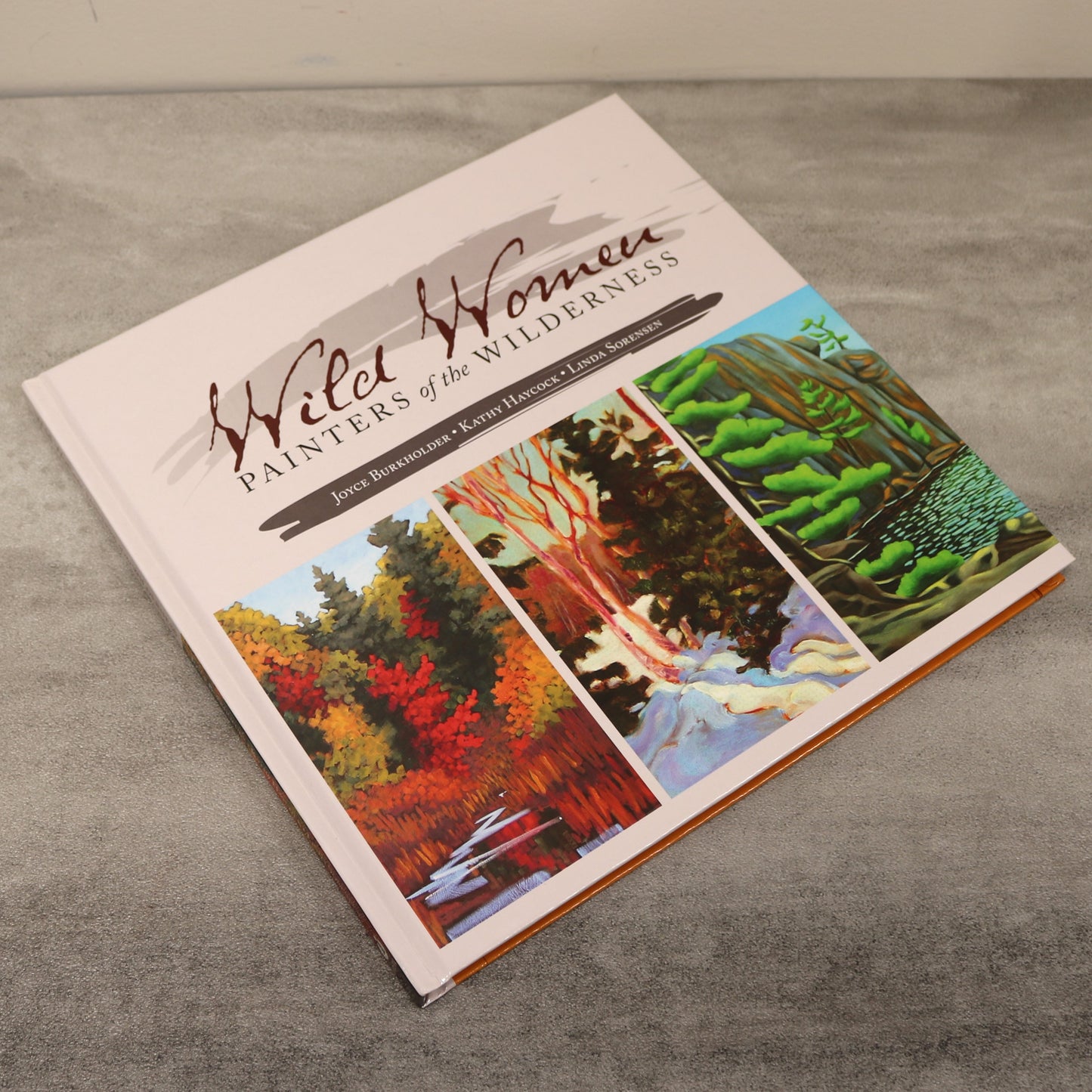 Wild Women Wilderness Painters Burkholder Haycock Sorenson Art Artist Used Book