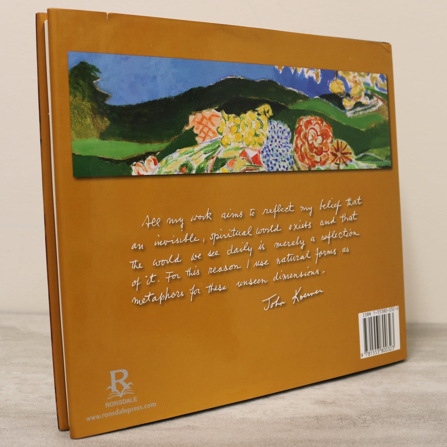 Brush With Life John Koerner Painter Paint Art Artist Autobiography Used Book