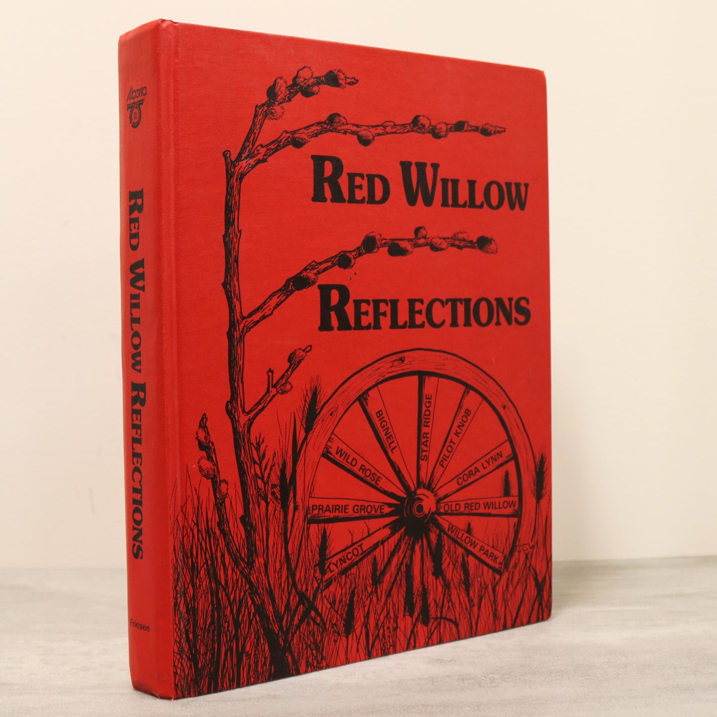 Red Willow Reflections Alberta Canada Canadian Stettler Local History Used Book