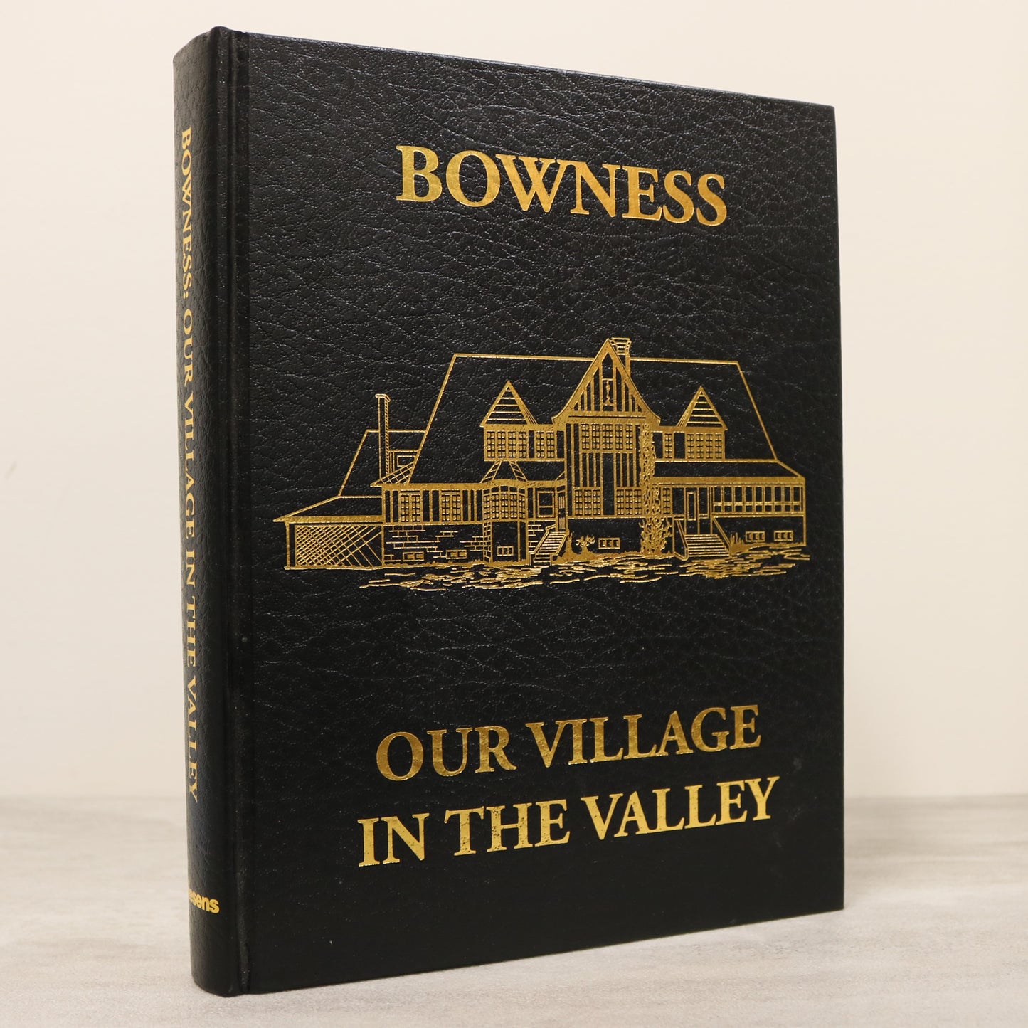 Village in the Valley Bowness Alberta Canada Local History Used Book