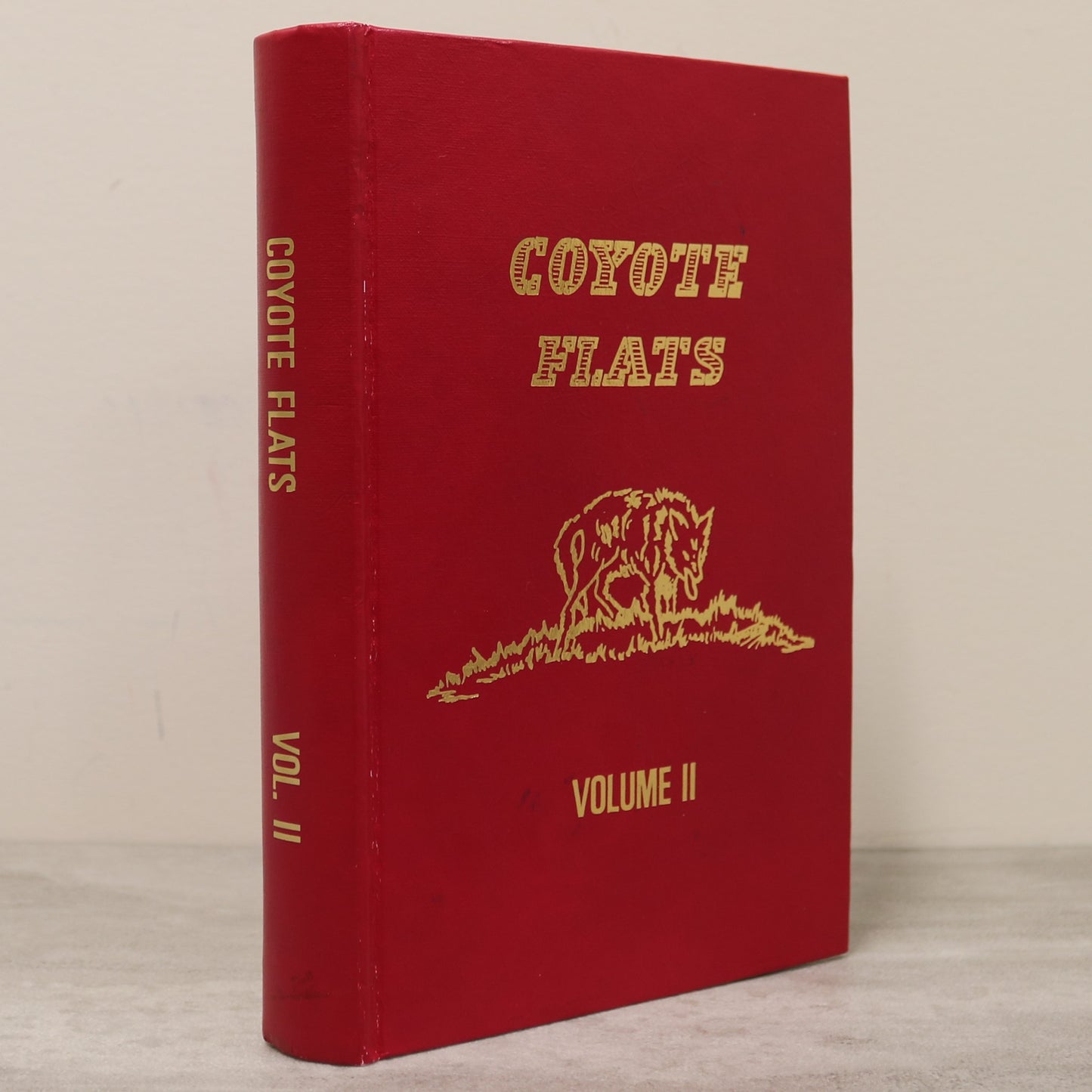 Coyote Flats Vol 2 Lethbridge Shaughnessy Turin Alberta Canada Local History Book