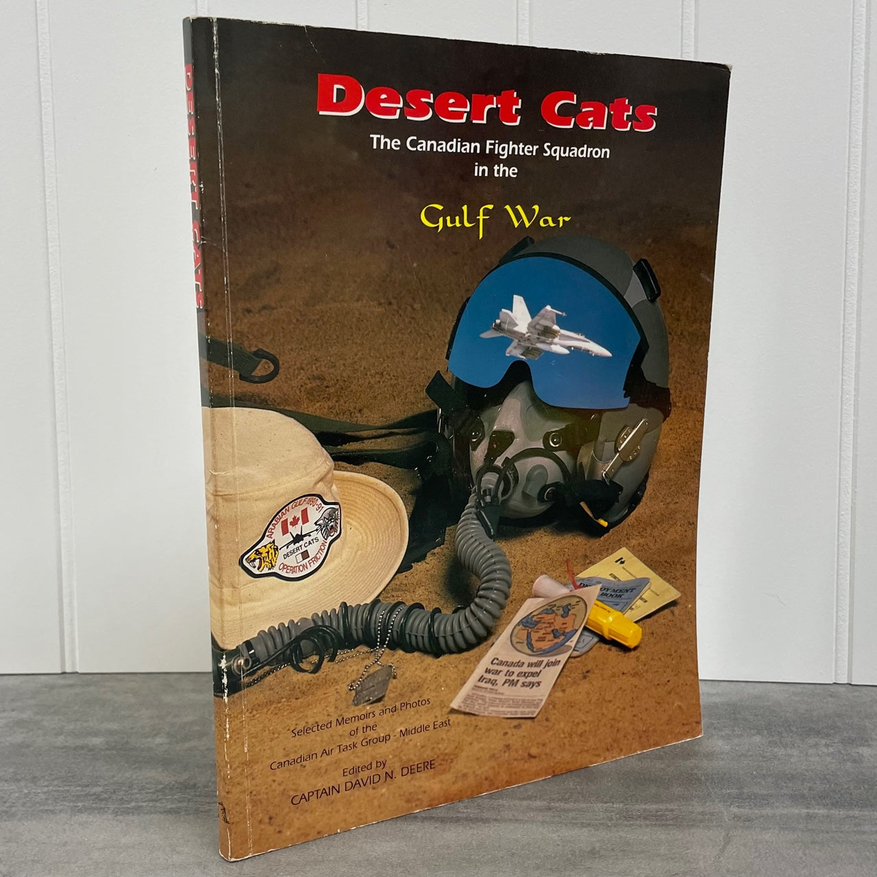 Desert Cats Canada Canadian Fighter RCAF Gulf War Air Force Aviation Military Book