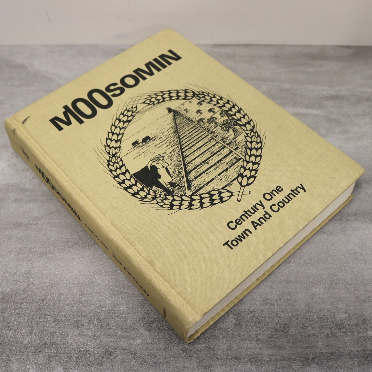 Moosomin Century One Saskatchewan Canada Canadian Local History Used Book