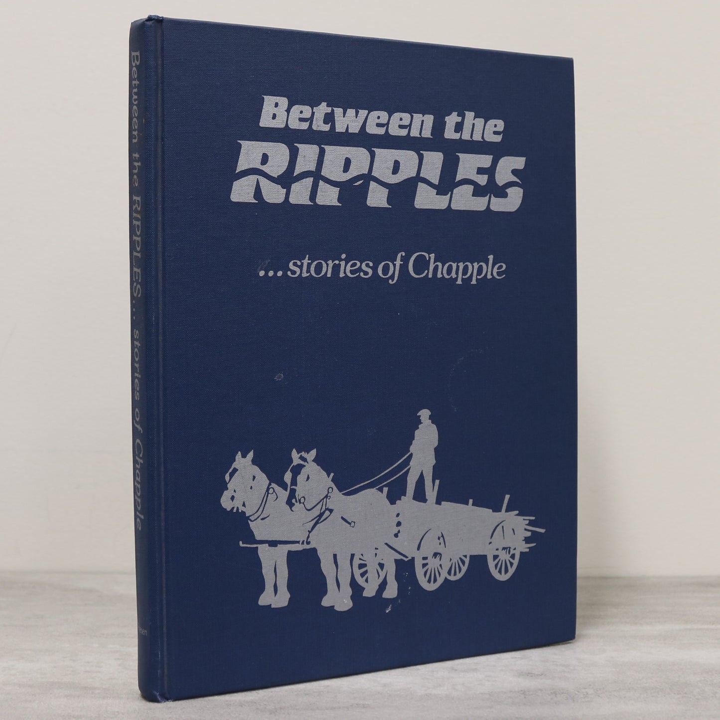 Between Ripples Chapple Barwick Finland Ontario Canada Canadian Local History Book