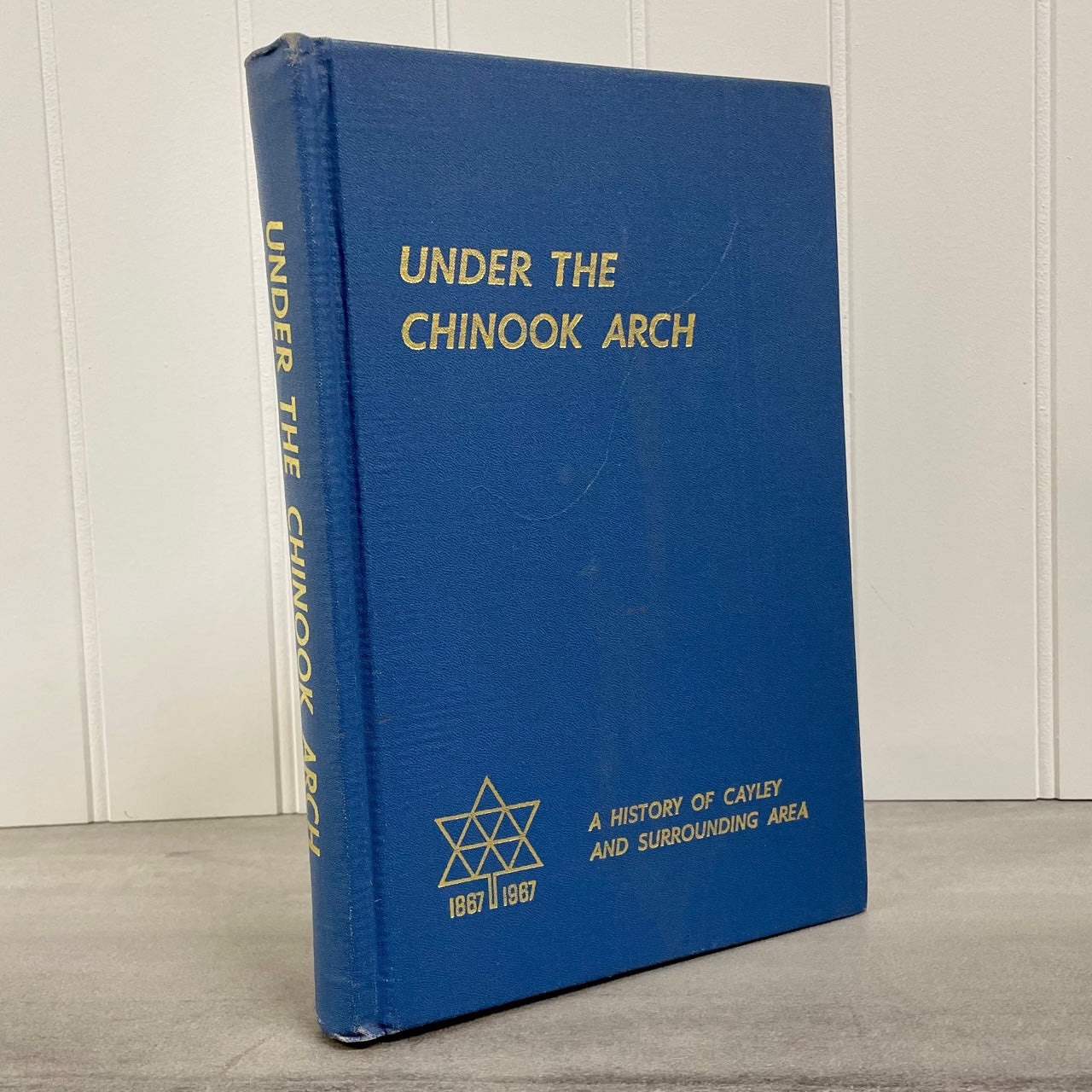 Under the Chinook Arch Cayley Alberta Canada Canadian History Book