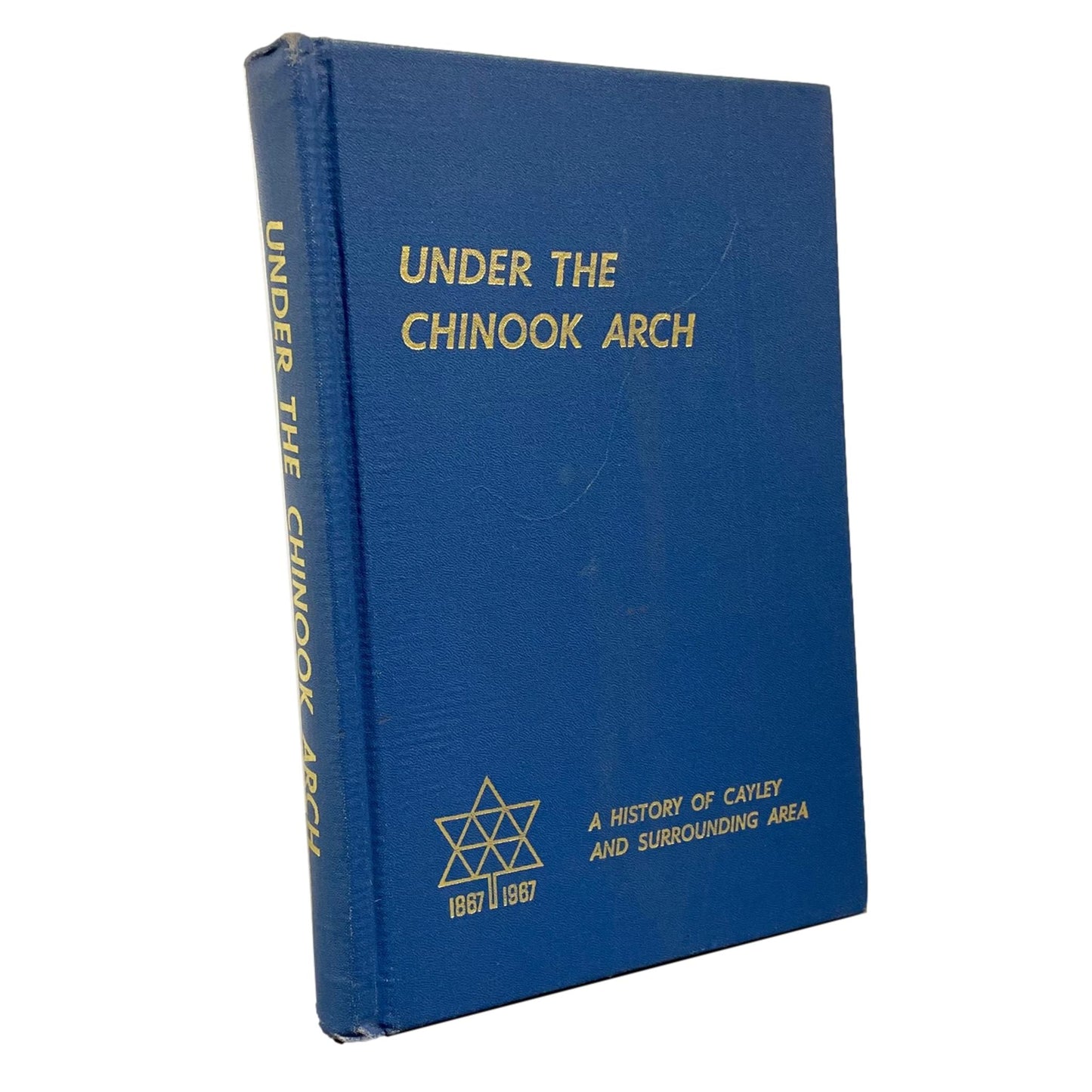 Under the Chinook Arch Cayley Alberta Canada Canadian History Book