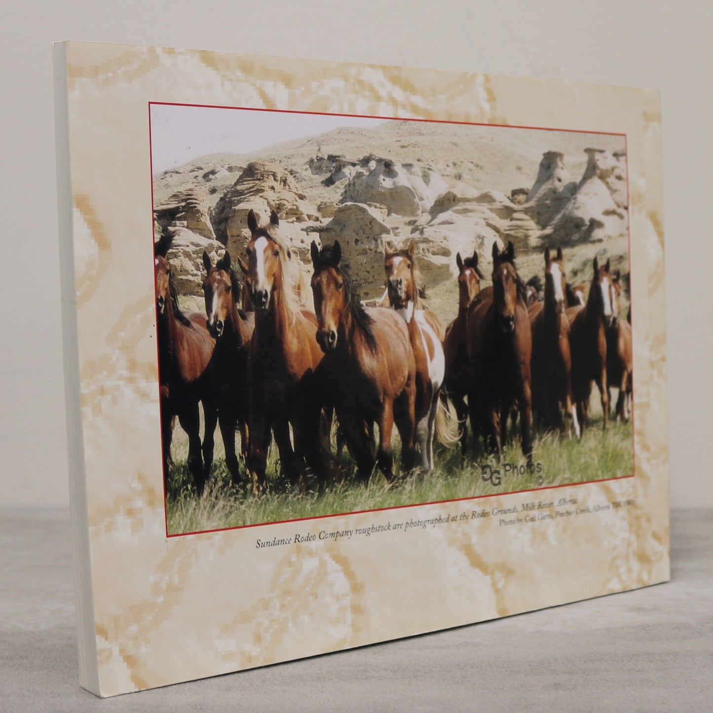 Herman Linder Legend Pro Rodeo Champion Canadian Alberta Cowboy History Book