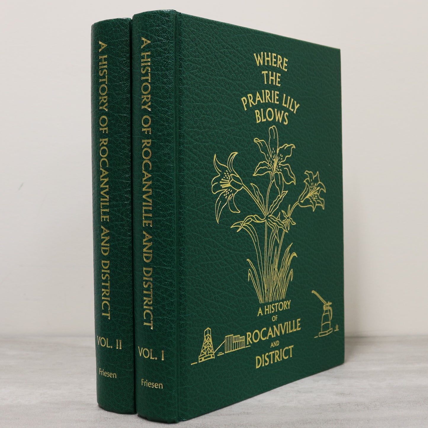 Where Prairie Lily Blows 2 Vol Rocanville Saskatchewan Canadian Local History Book