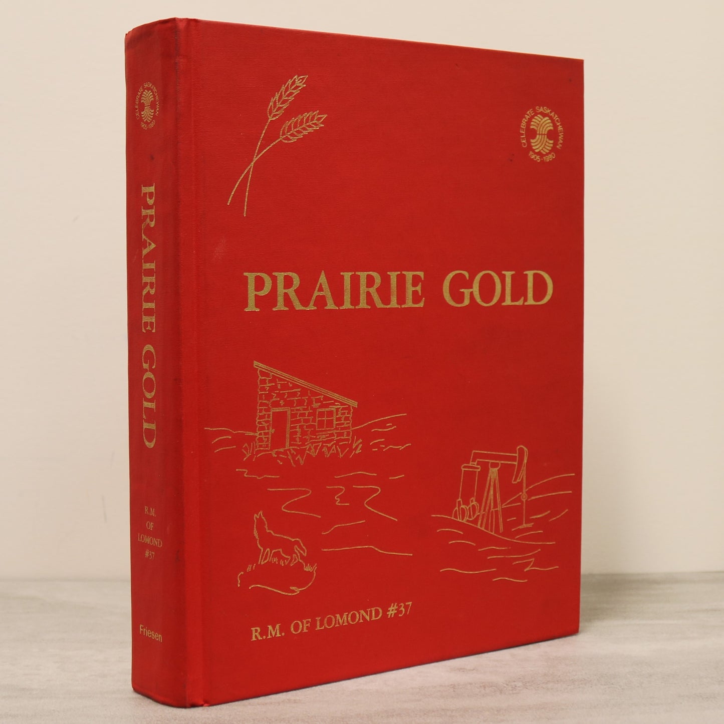 Prairie Gold Goodwater Lomond Saskatchewan Canada Canadian Local History Book