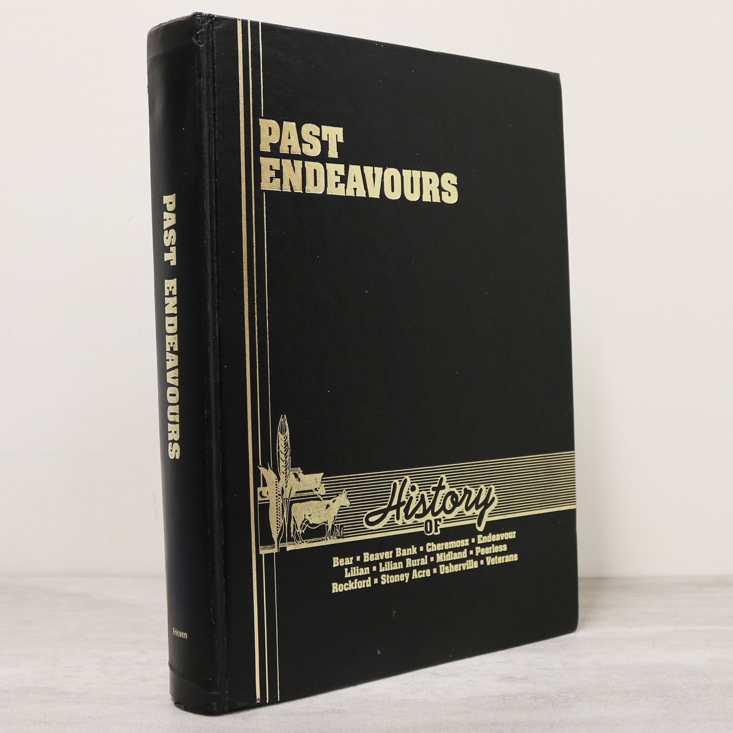 Past Endeavours Saskatchewan Rockford Veterans Beaver Bank History Book