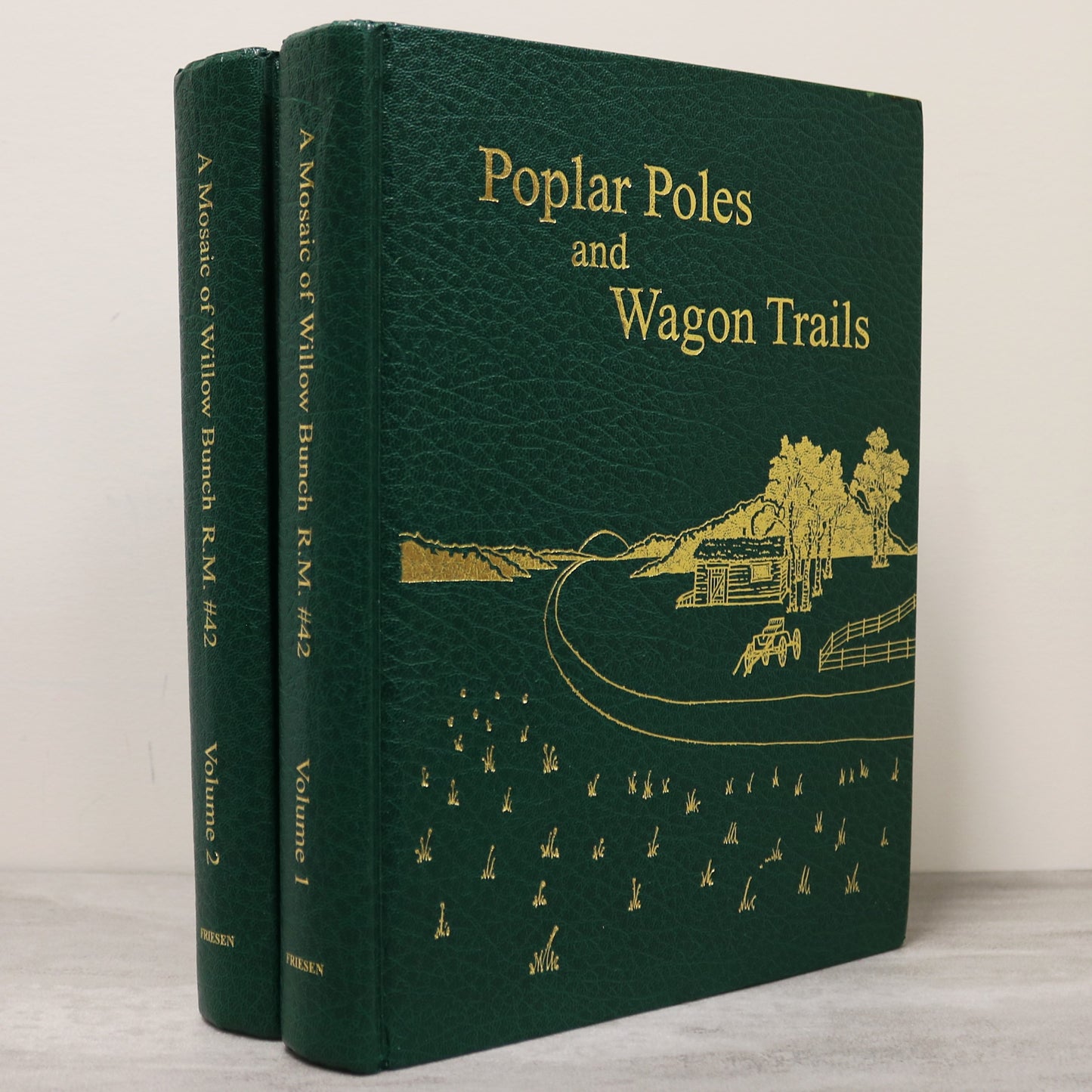 Poplar Poles Wagon Trails Willow Bunch Saskatchewan Canada History Book