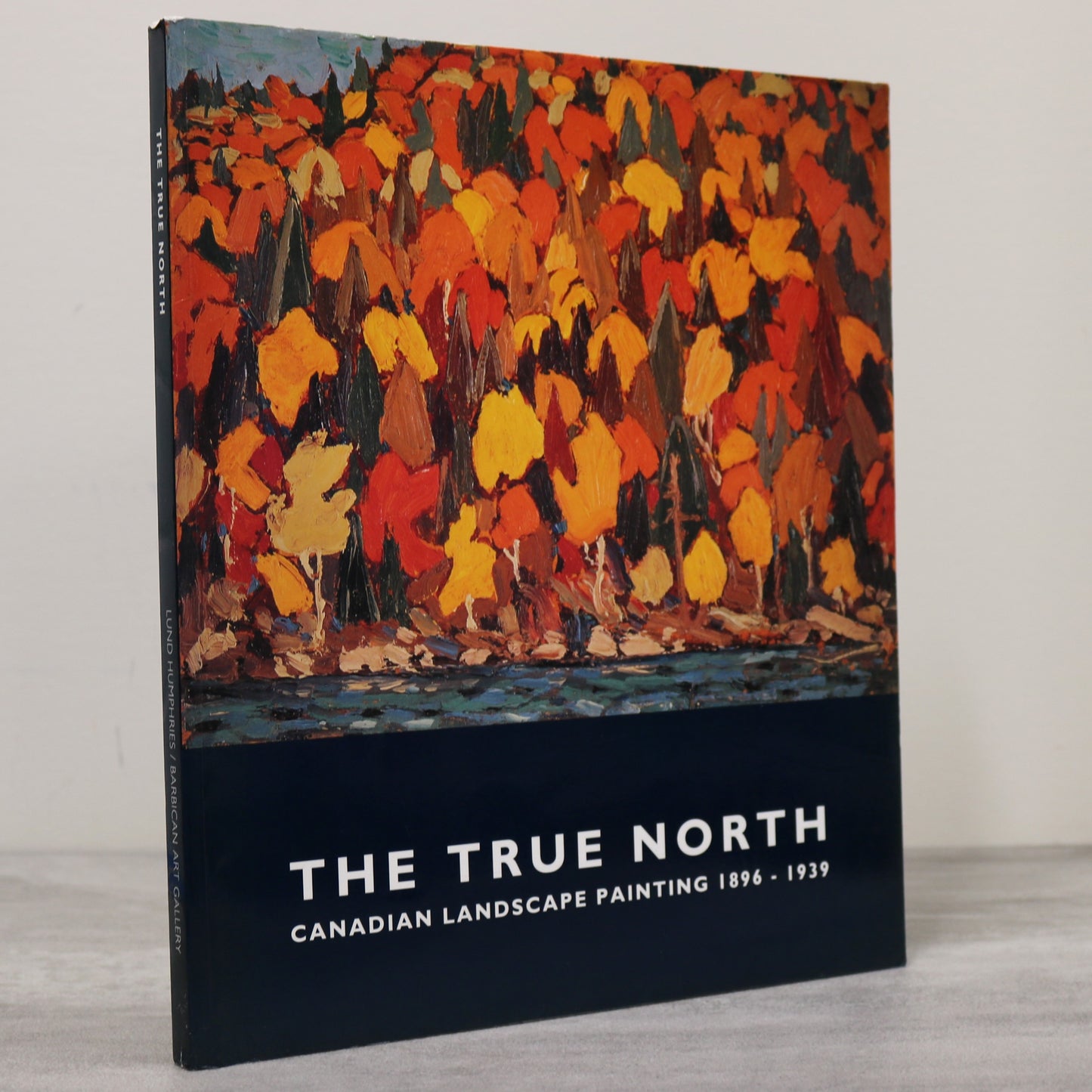 True North Canada Canadian Group 7 Seven Painting Painters Artists Art Used Book