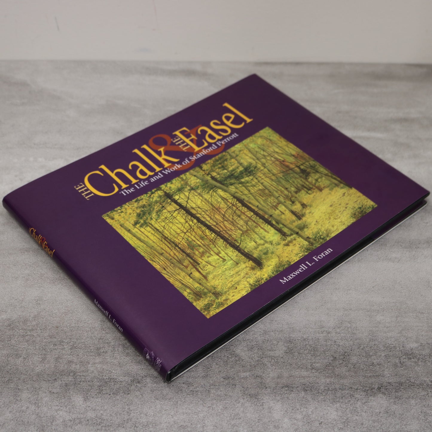 Chalk & Easel Stanford Perrott Art Artist Painting Landscape Used Book