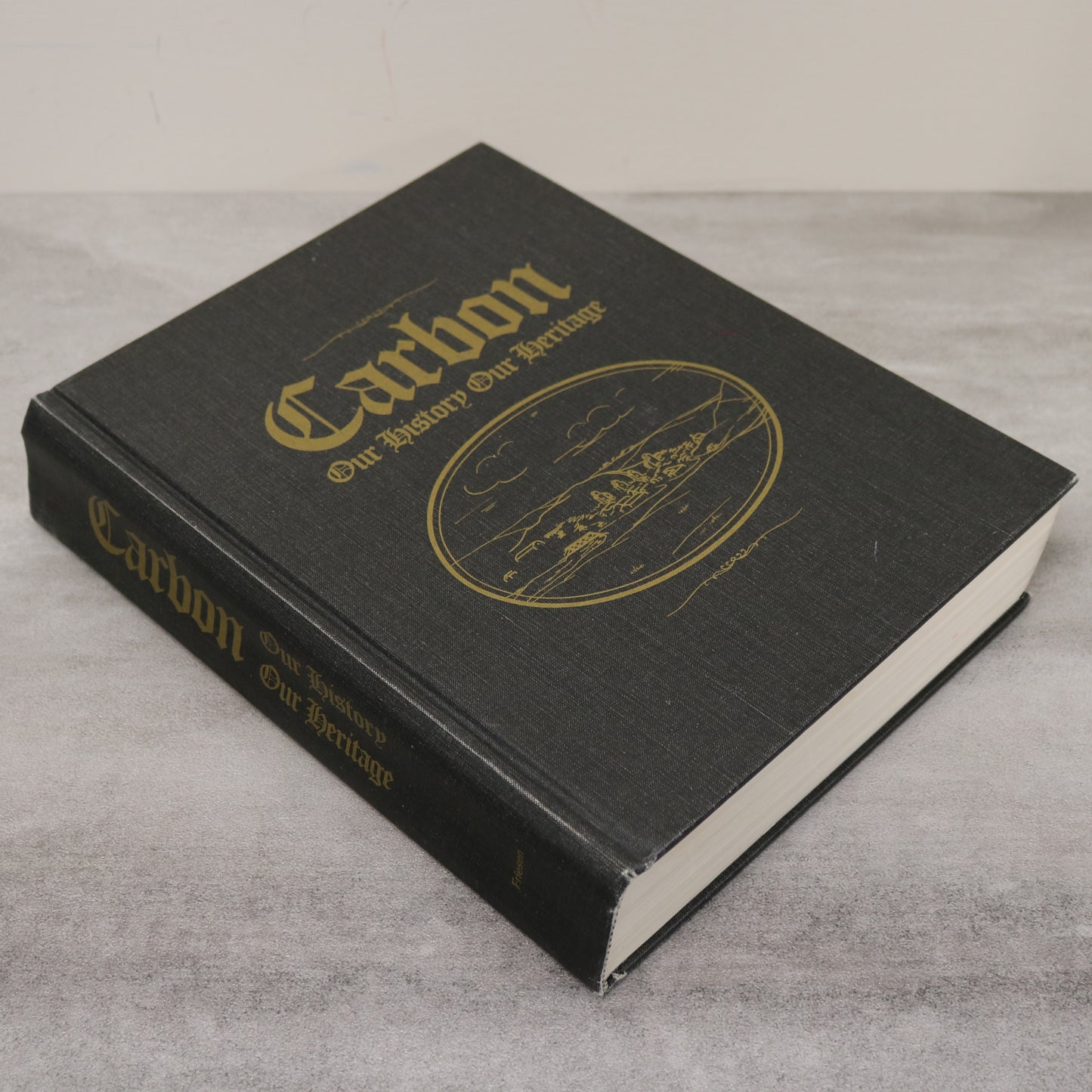 Carbon History Heritage Alberta Canada Canadian Local History Used Book