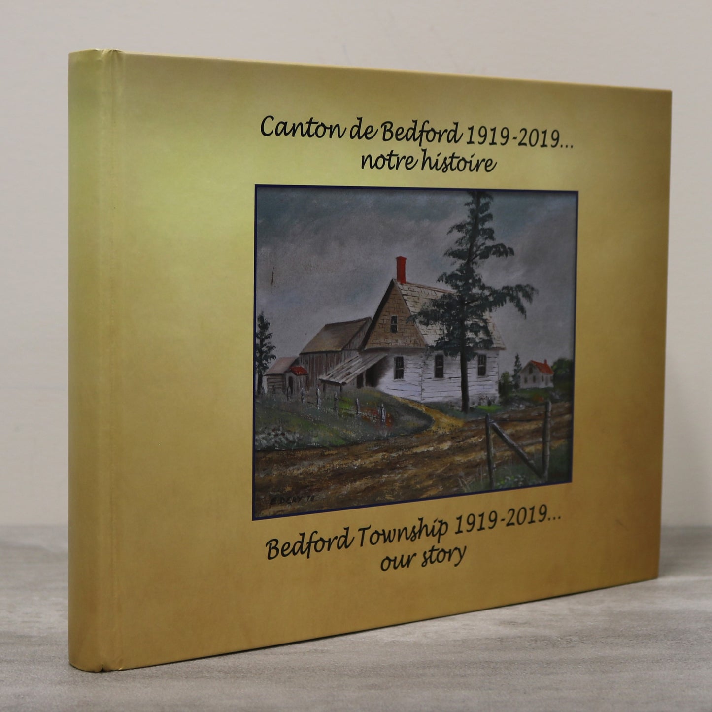 Bedford Township Our Story Canton Quebec Canada Canadian Local History Used Book