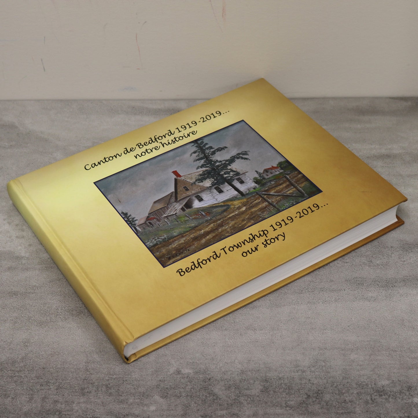 Bedford Township Our Story Canton Quebec Canada Canadian Local History Used Book