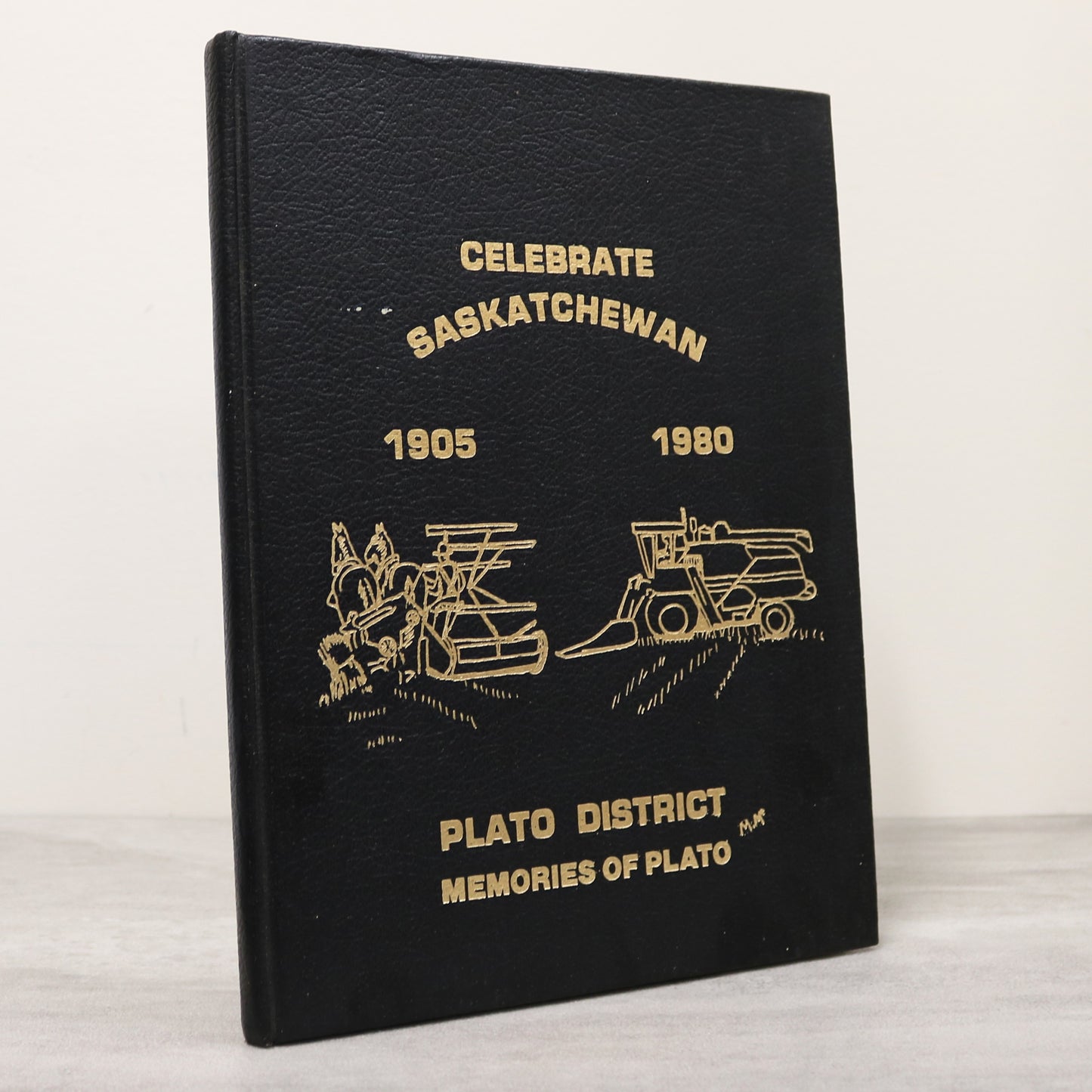 Memories of Plato District Saskatchewan Canada Canadian Community History Book