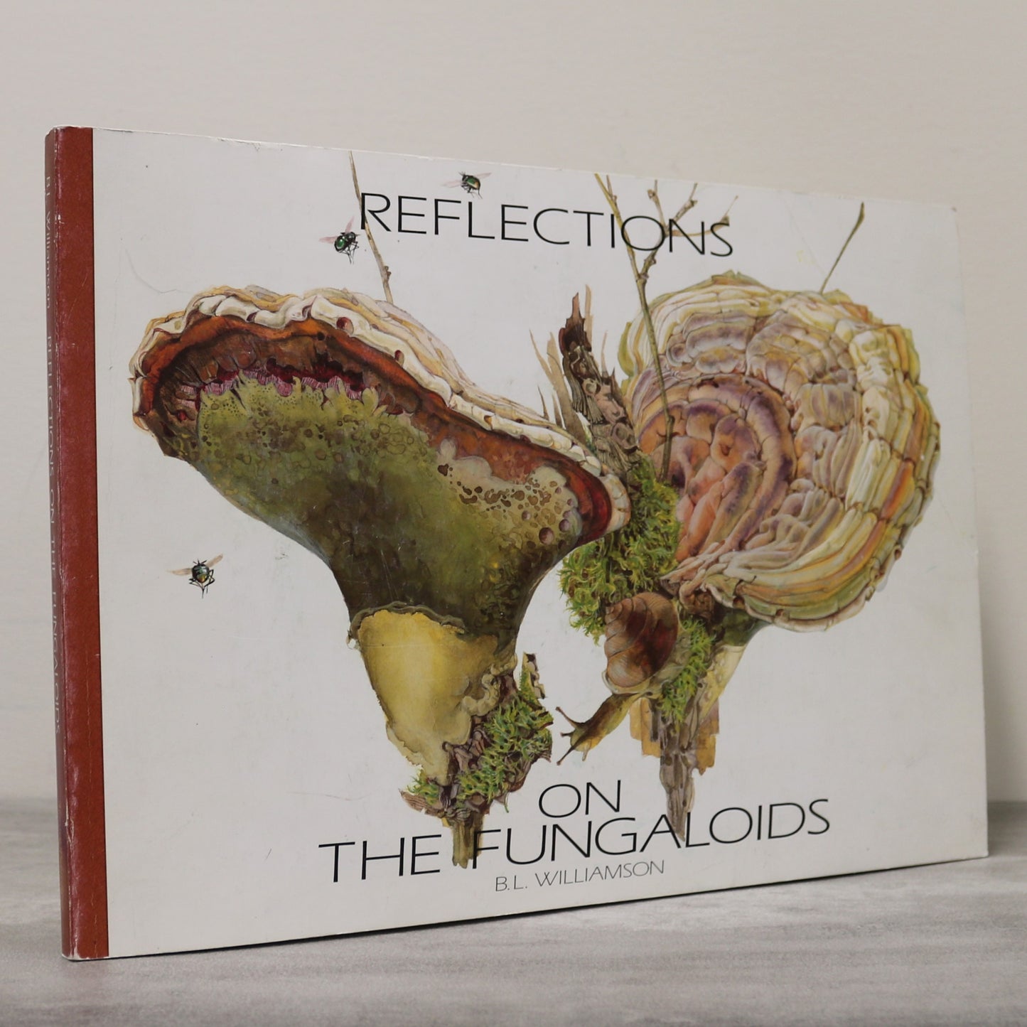 Reflections Fungaloids Mushroom Art Artist Canada Illustration Canadian Book