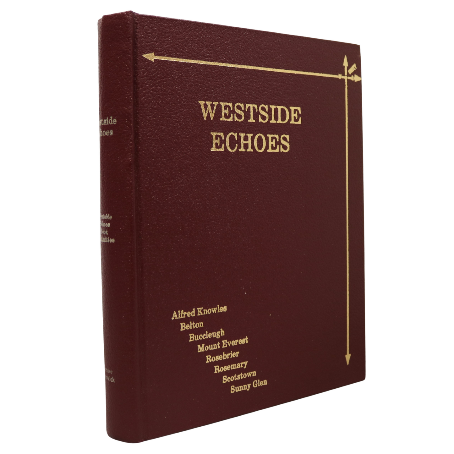 Westside Echoes Saskatchewan Canada Canadian Local History Used Book