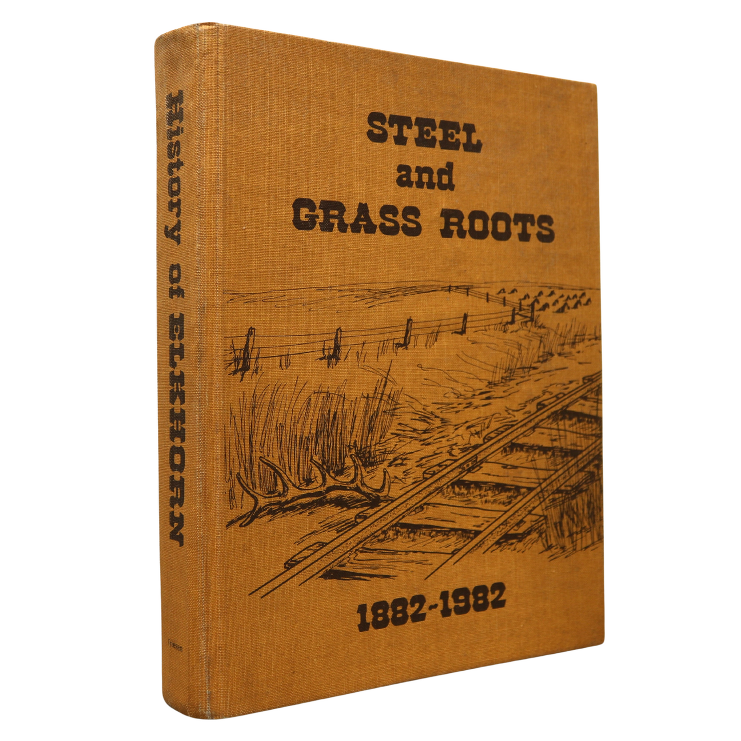 Steel and Grass Roots Elkhorn Manitoba Canada Canadian Local History Used Book