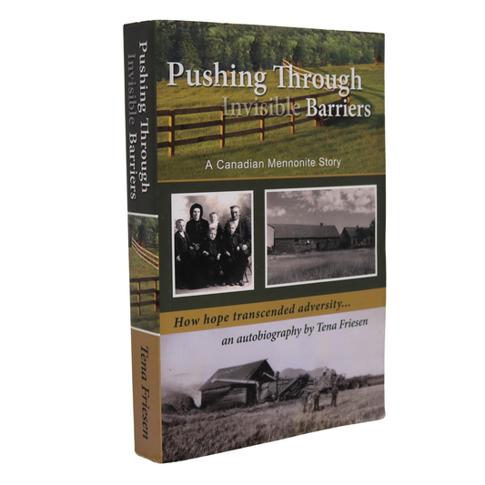 Pushing Invisible Barriers Canada Canadian Mennonite Autobiography Used Book