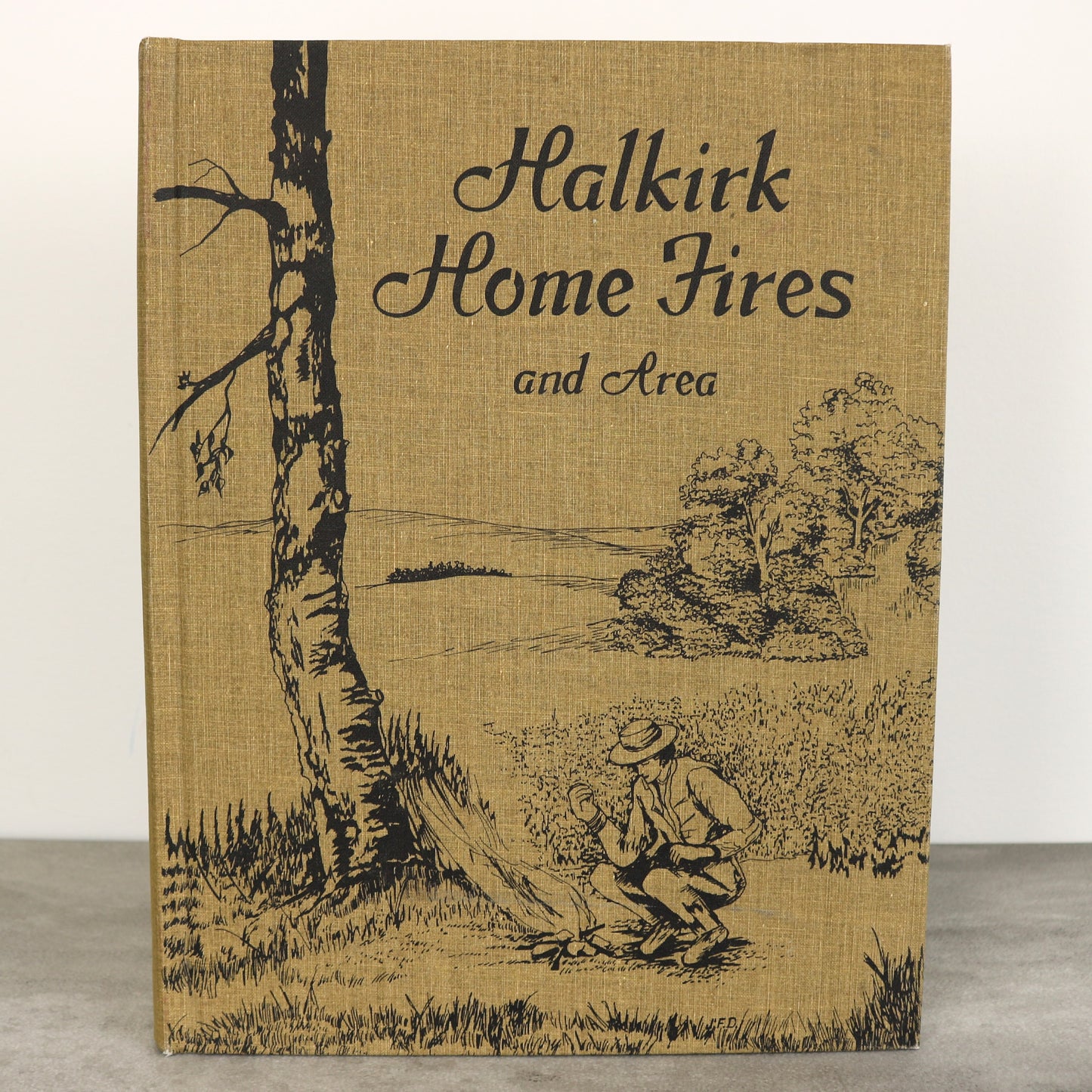 Halkirk Home Fires Alberta Canada Canadian Local History Used Book