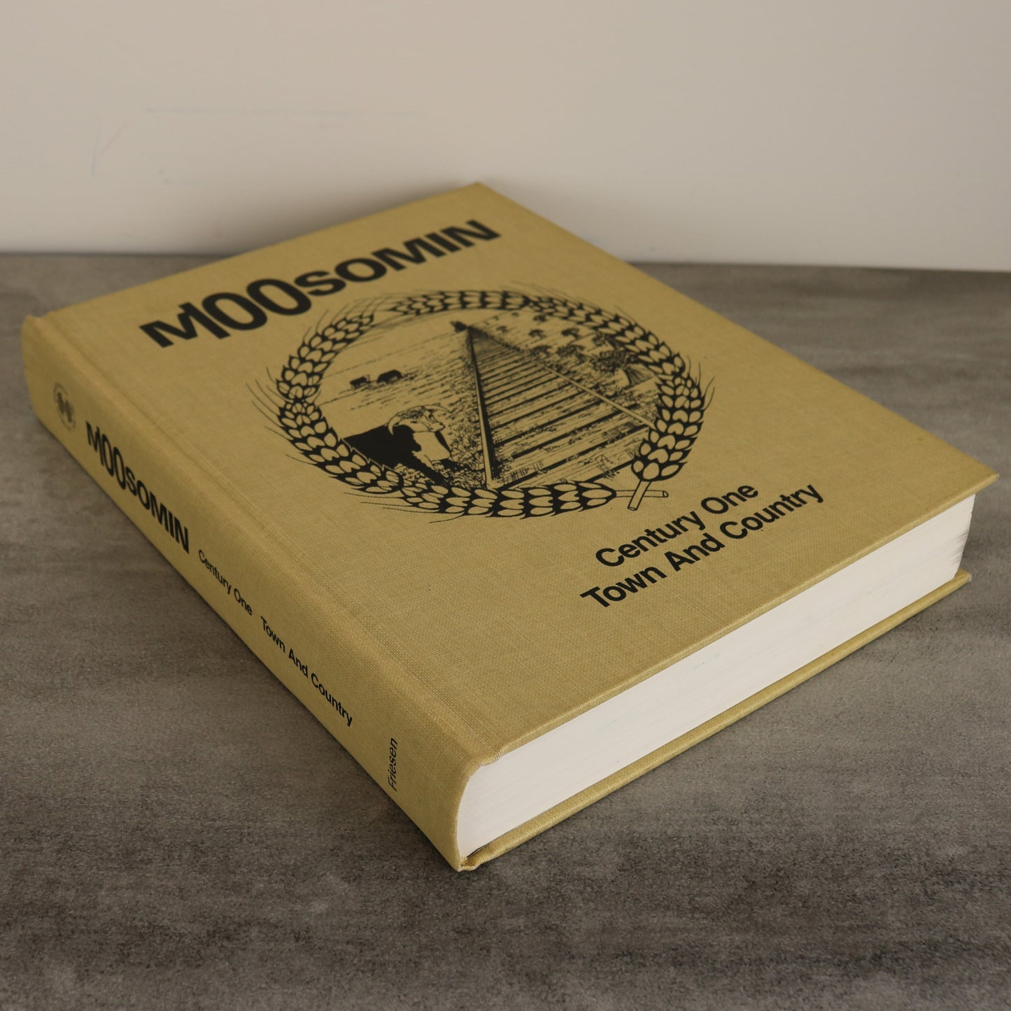 Moosomin Saskatchewan Canada Canadian Local History Used Book