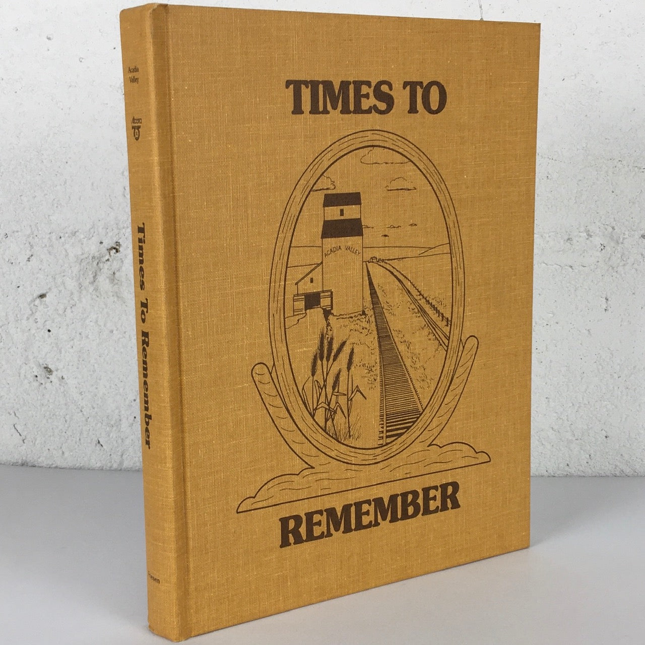 Times to Remember Acadia Valley Alberta History Canada Used Book