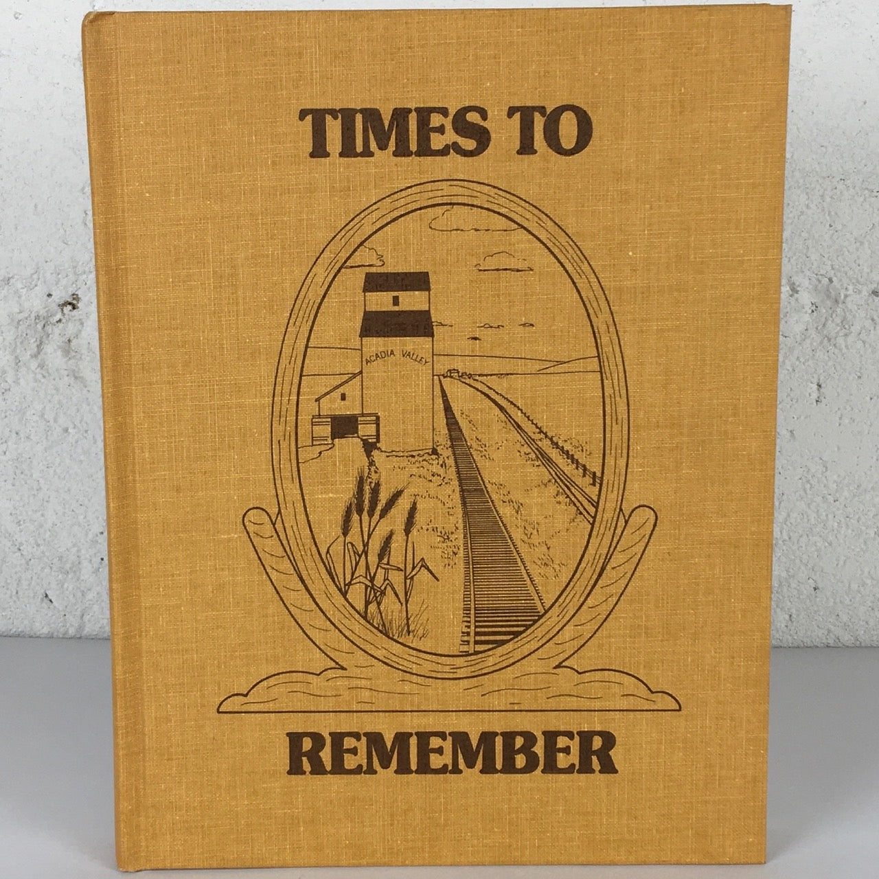 Times to Remember Acadia Valley Alberta History Canada Used Book