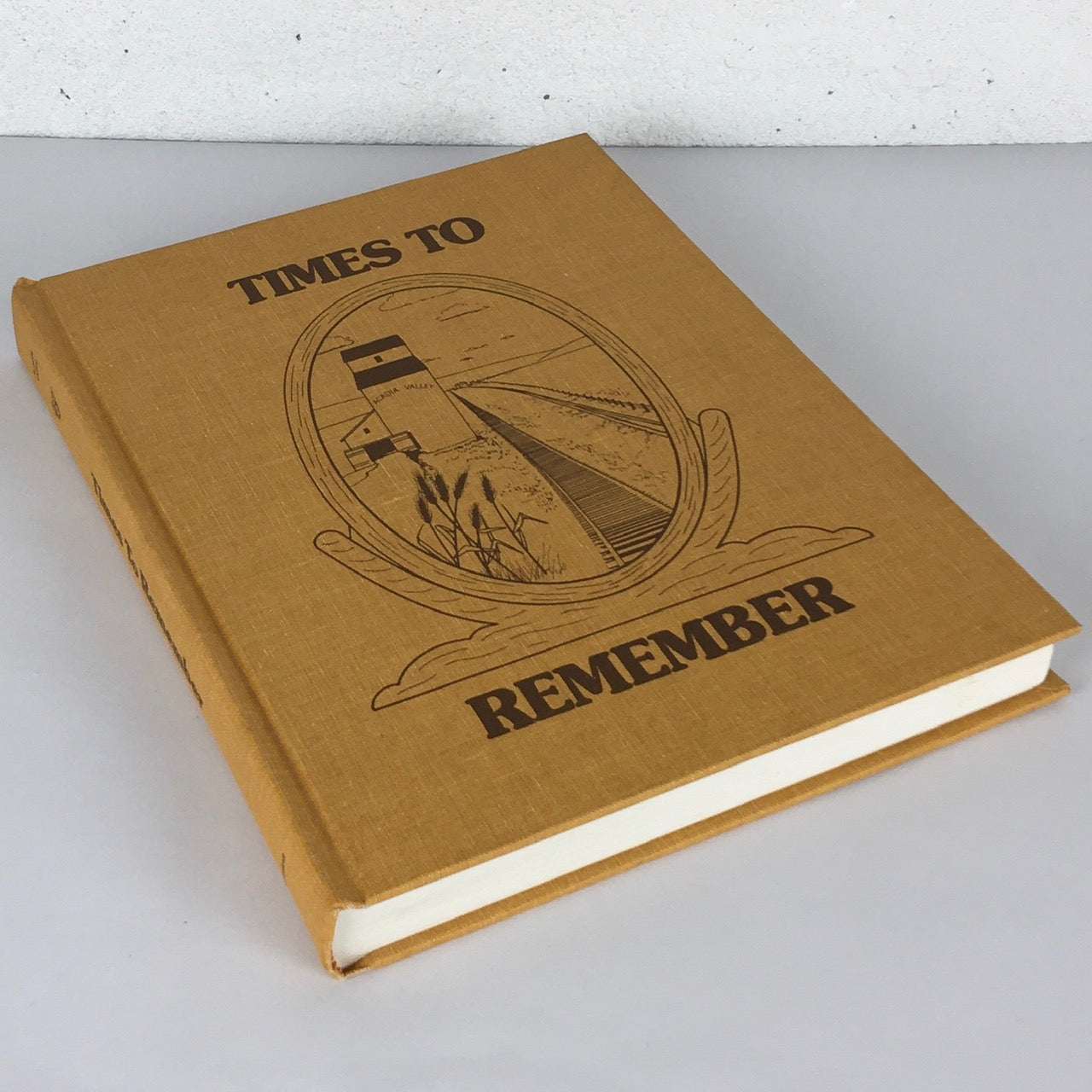 Times to Remember Acadia Valley Alberta History Canada Used Book