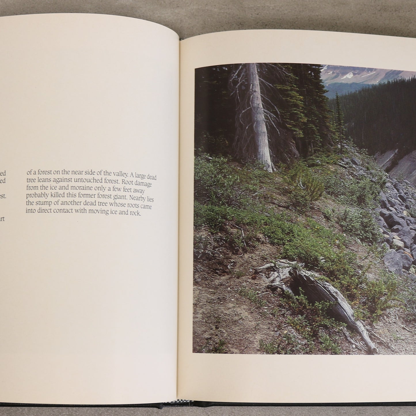 Castleguard Banff Glacier History Rockies Canada Canadian Book