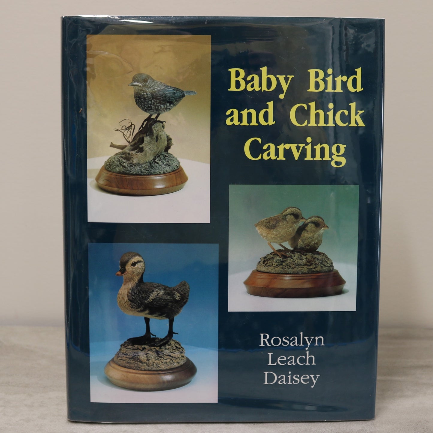 Baby Bird Chick Wood Carving Woodcarving Carver Projects Guide Used Book