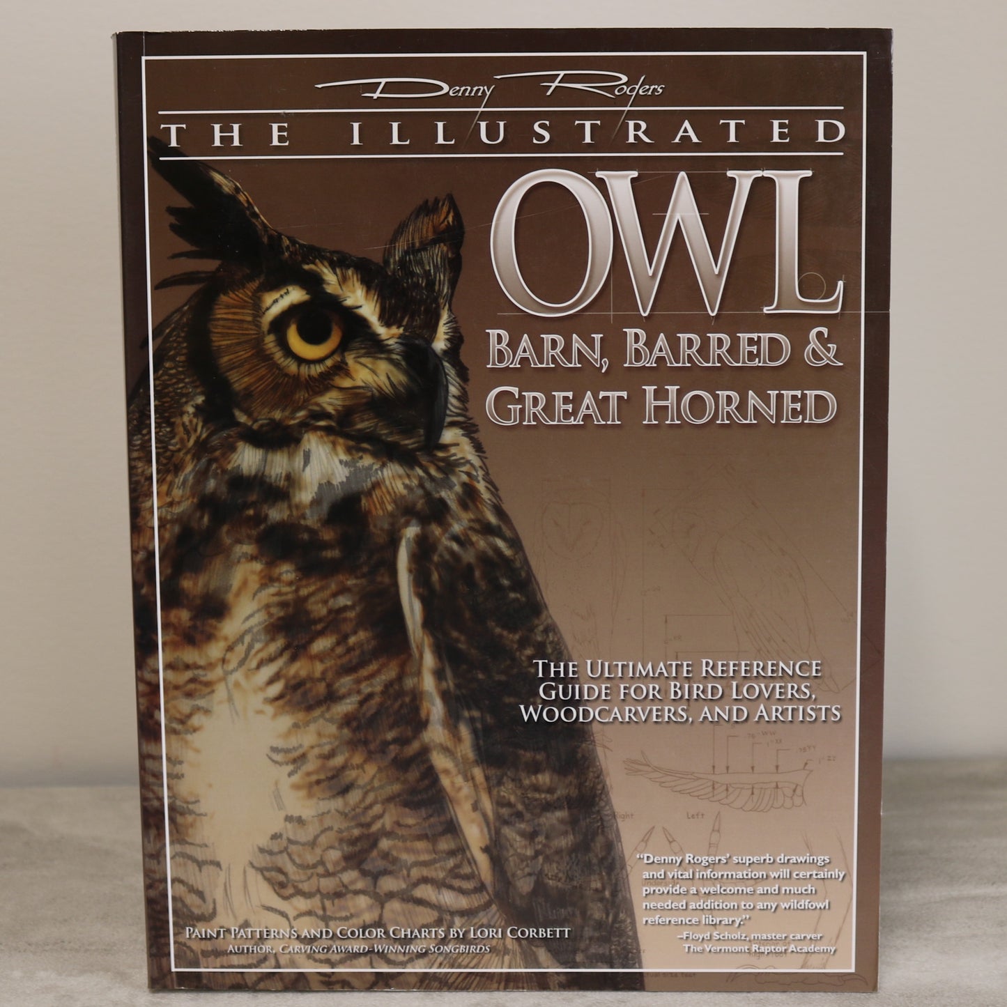 Illustrated Barn Barred Great Horned Owl Wood Carving Used Book