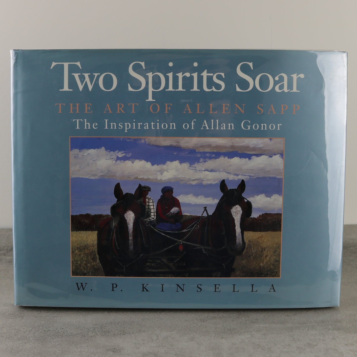 Two Spirits Soar Allen Sapp Cree Art Painting Indigenous First Nations Used Book