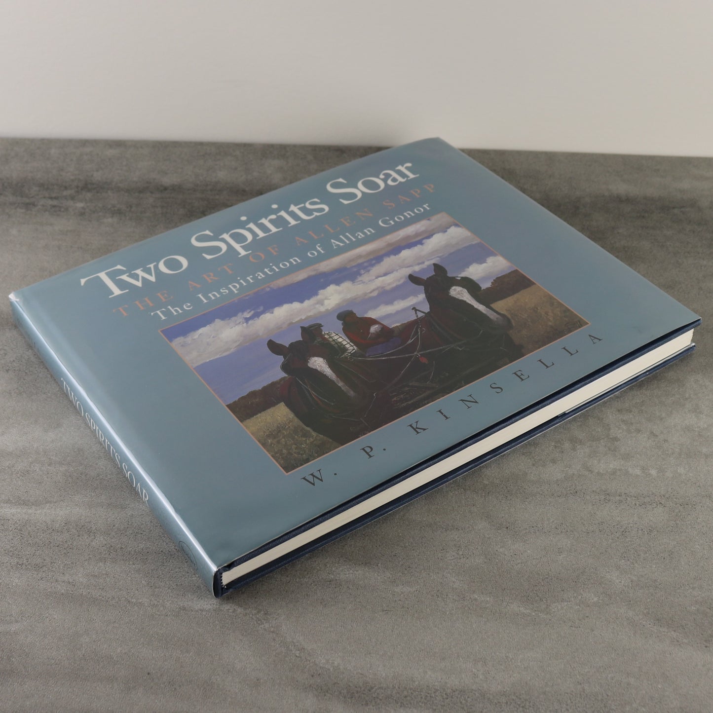 Two Spirits Soar Allen Sapp Cree Art Painting Indigenous First Nations Used Book