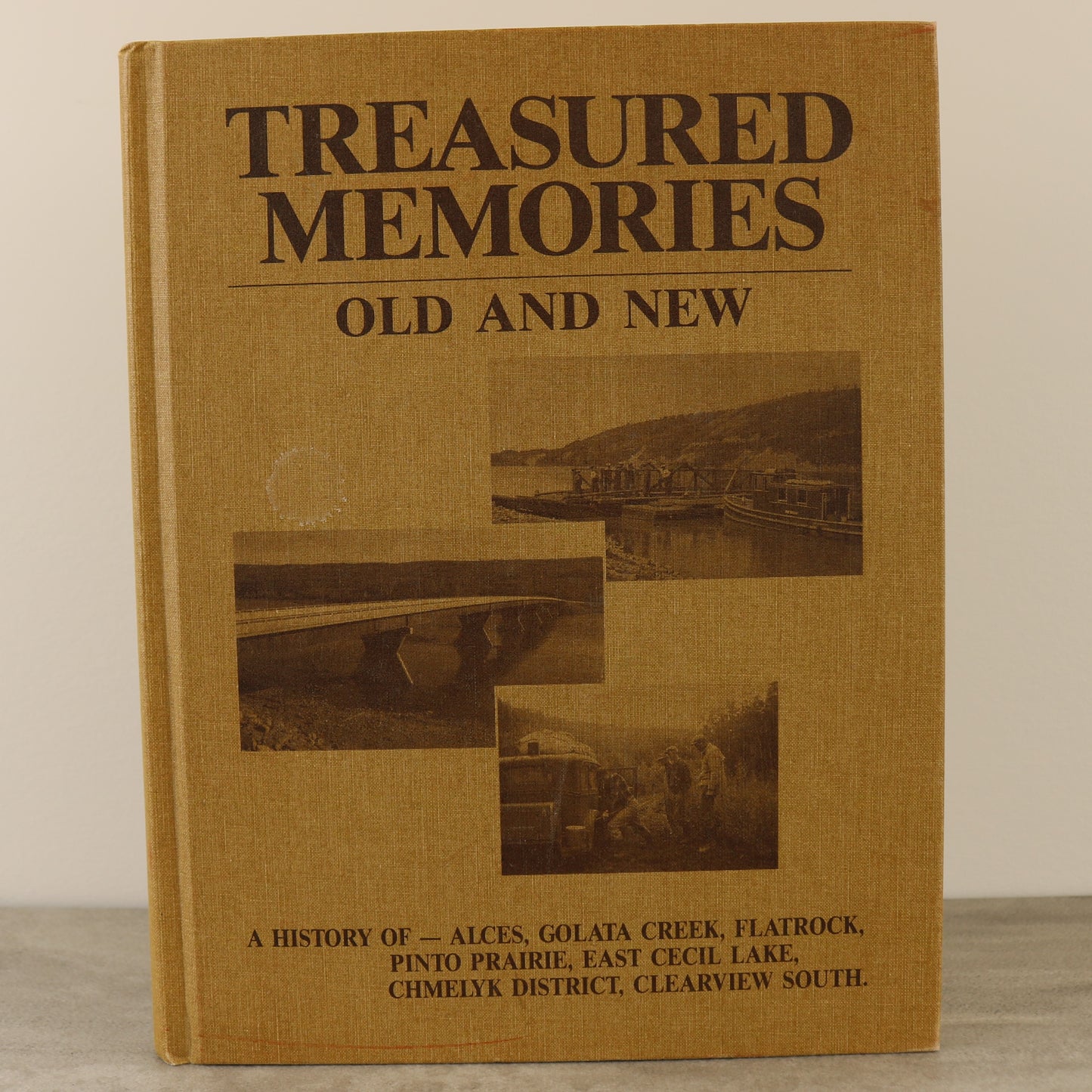 Treasured Memories Cecil Lake Alces British Columbia Canada Local History Used Book